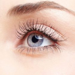 Eyelash Tinting