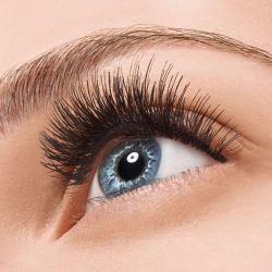 Max Volume Lash Extensions